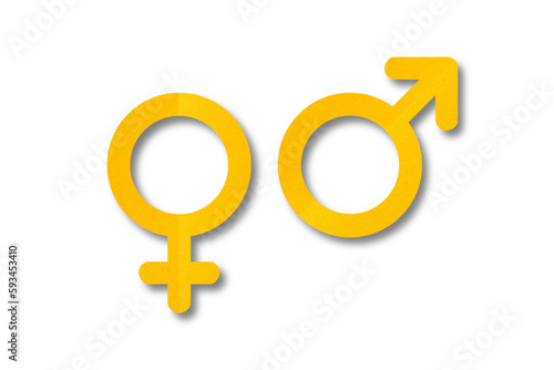Yellow paper cut male and female symbols isolated on transparent background.