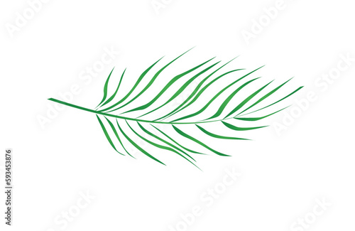 Fototapeta Naklejka Na Ścianę i Meble -  Concept Jungle botany plant branch leaf. This illustration depicts a single green branch of a jungle plant against a white background. Vector illustration.