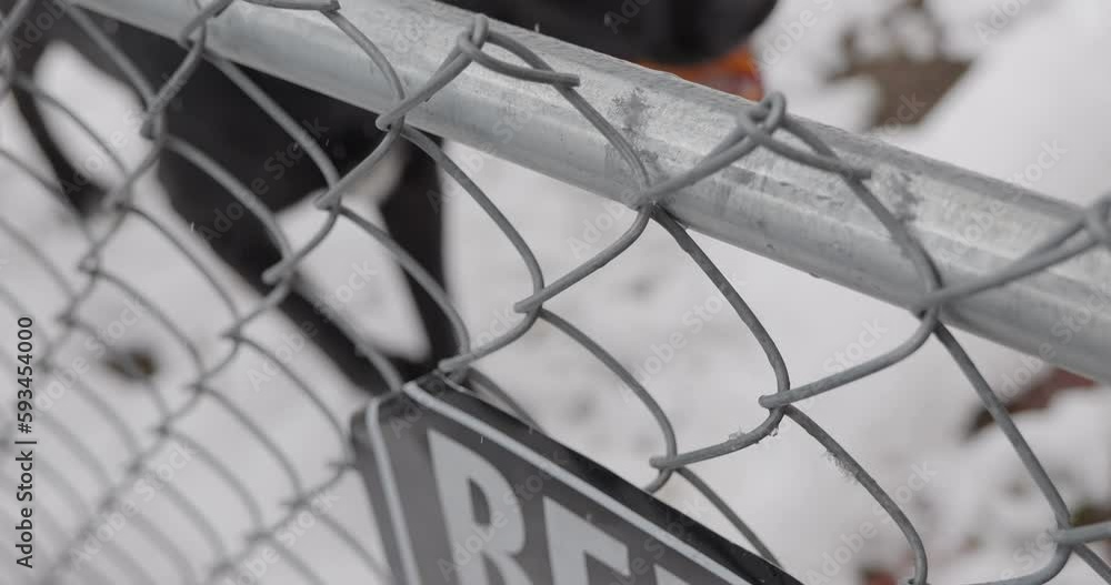 Snowing on first day of spring with black lab dane labradane dog on other side of chain link fence as camera pans from beware of the dog sign - in Cinema 4k half speed at 30fps. Snowing on first day of spring with black lab dane labradane dog on other side of chain link fence as camera pans from beware of the dog sign - in Cinema 4k half speed at 30fps.