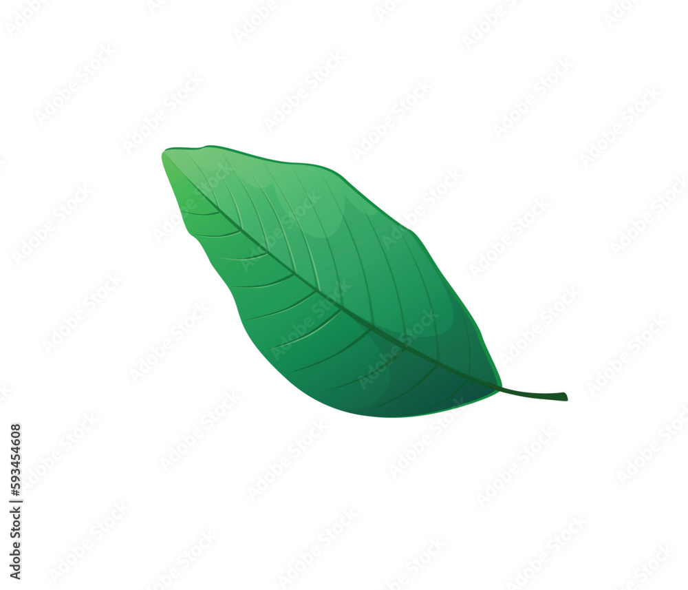Fototapeta premium Concept Jungle botany plant branch leaf. This eye-catching illustration features a bright green leaf from a jungle plant, presented in a flat vector style. Vector illustration.