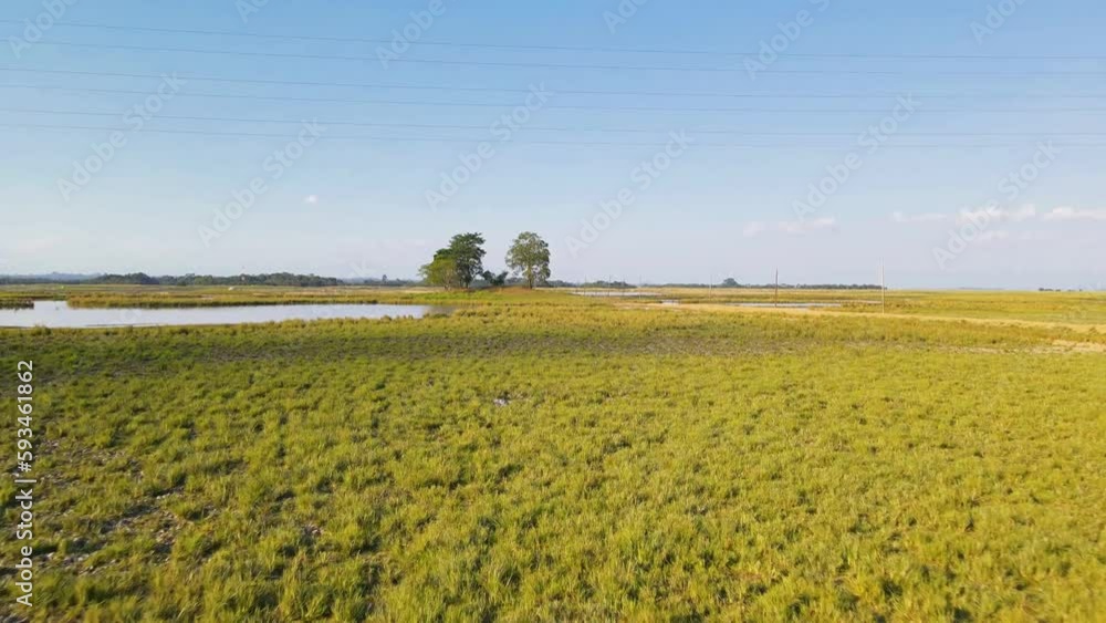 Low aerial drone shot flying fast above vast marshland wet landscape, Sylhet Low aerial drone shot flying fast above vast marshland wet landscape, Sylhet