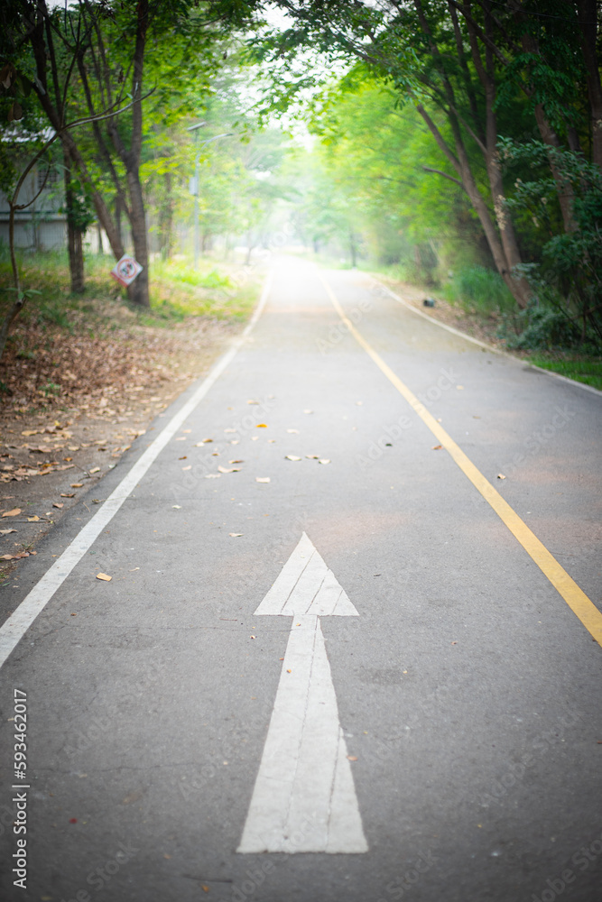 Obraz premium Road with arrow