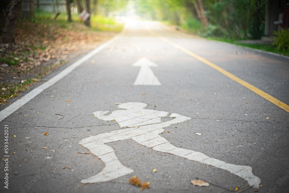 Obraz premium Running lane in forest 