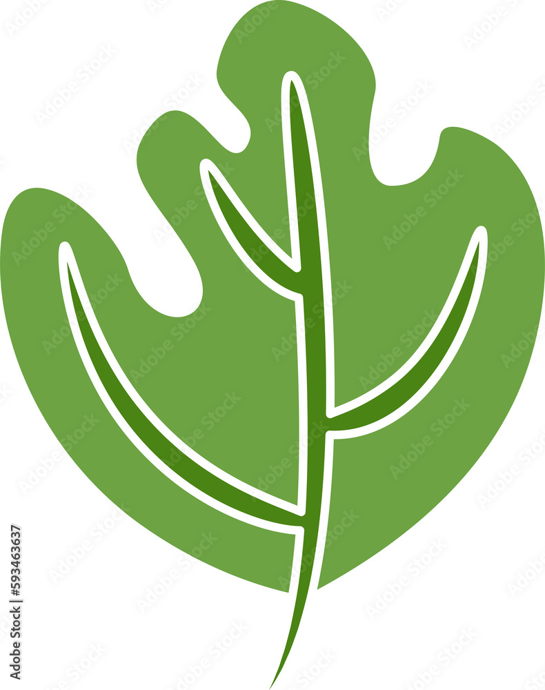 Fototapeta premium plant and leaf illustration