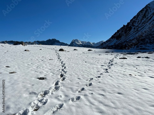 Fresh tracks on the season's first early autumn snow above the road pass Fluela (Flüelapass) and in the Swiss Albula Alps mountain massif, Zernez - Canton of Grisons, Switzerland (Kanton Graubünden) photo