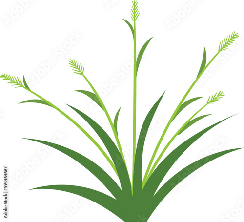 grass icon design template vector isolated white background. grass icon design template 