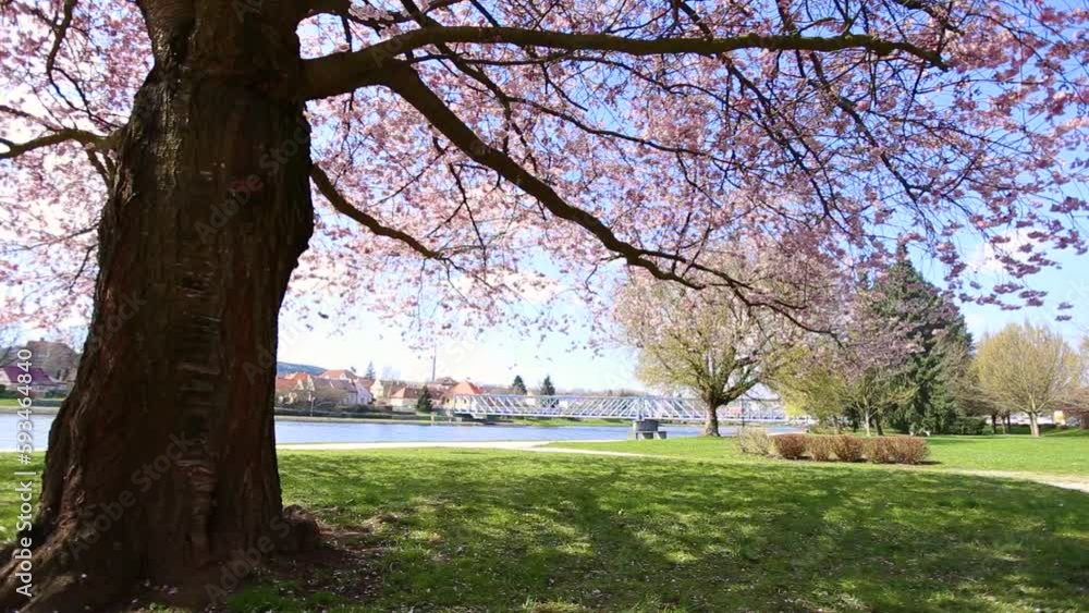 Springtime in small town Tyn nad Vltavou, Czechia. Springtime in small town Tyn nad Vltavou, Czechia.