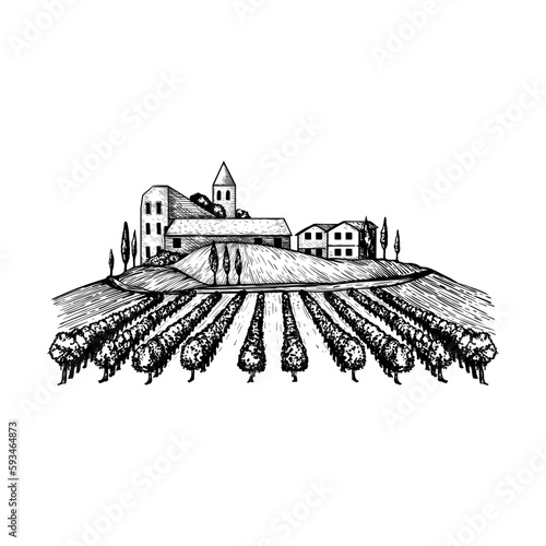 Winery landscape icon. Logo or packaging sketch of grape fields and cypresses