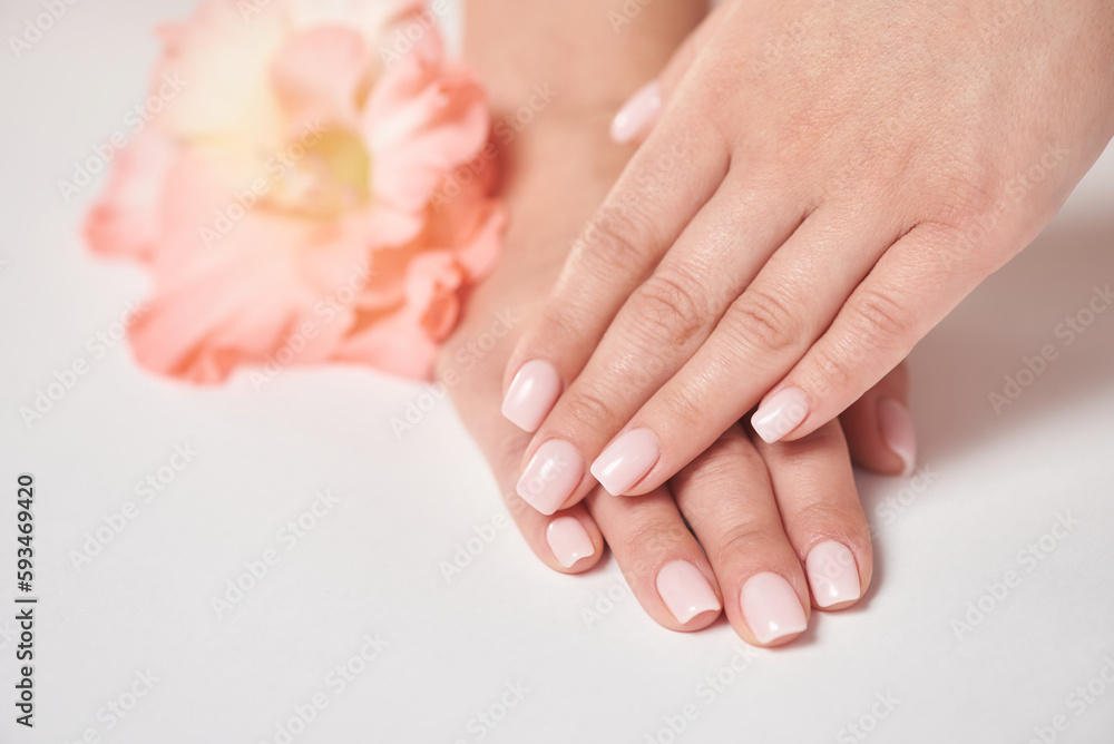 Female hands with pink manicure and flower