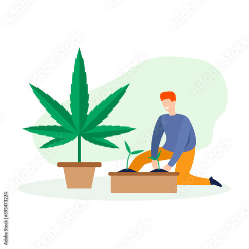 Cartoon character of young man growing cannabis at home. Supporting legality of cannabis. Marijuana cultivation and legalization business startup. Vector