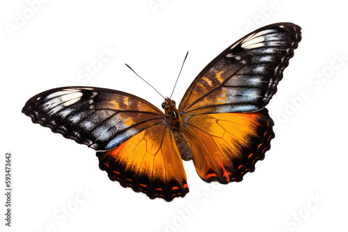 Beautiful butterfly isolated on transparent background. Generative Ai © Areerat