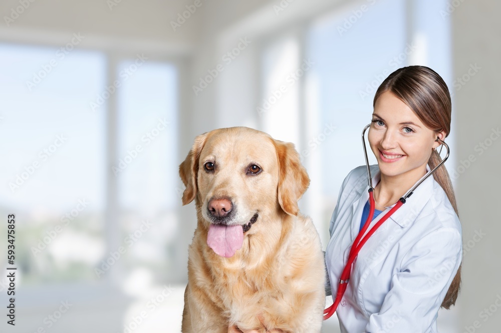 Young veterinary doctor playing with a dog. Young veterinary doctor playing with a dog.
