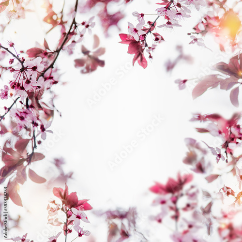 Beautiful floral frame of pink cherry blossom with sunlight and petal bokeh at white background © VICUSCHKA