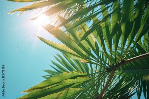 Tropical Palm Tree with Green Branches and Blue Sky AI generated