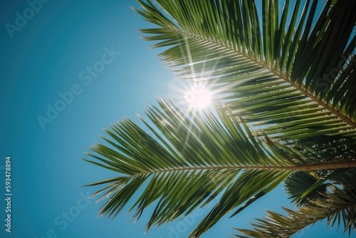 Tropical Palm Tree with Green Branches and Blue Sky AI generated