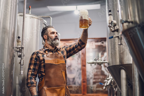 Bearded brewery master holding glass of beer and evaluating its visual characteristics. Small family business, production of craft beer. © djoronimo