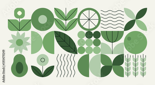Geometric natural pattern. Abstract fruit leaf plant simple shape, minimal floral eco agriculture concept. Vector banner