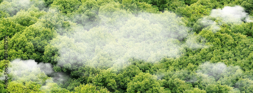 Cop 28, Global warming concept with view of earth lung - web banner © MIKE FOUQUE
