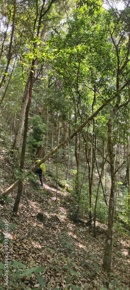 trekking routes in thailand , mountains in thailand , camping sites trekking routes in thailand , mountains in thailand , camping sites