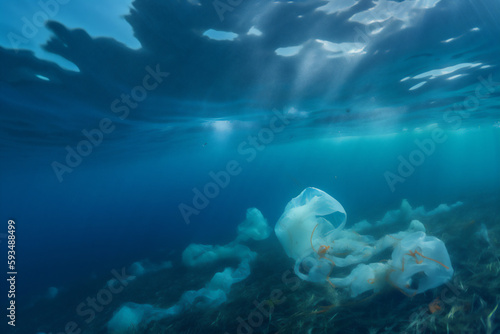 Plastic in the ocean. Environmental problem of plastics. Protection of wildlife. Animals in danger.