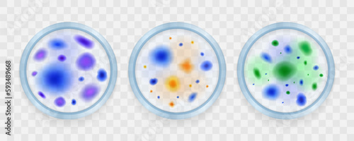 Set of isolated mold fungus bacteria colony spots realistic images on transparent background with editable text vector illustration
