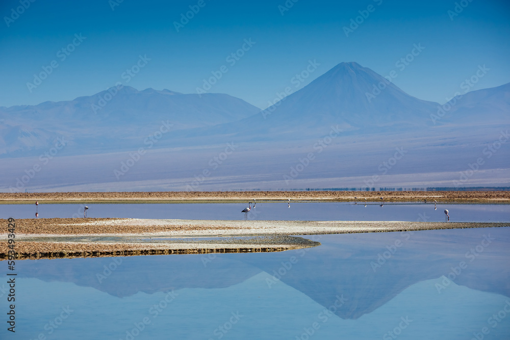 Salar de Atacama Laguna Chaxa