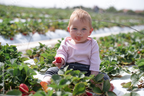 Pensive baby girl sits garden bed of strawberries and holds ripe and juicy berry. Face of little child stained red food. Funny kid on big field of farm.