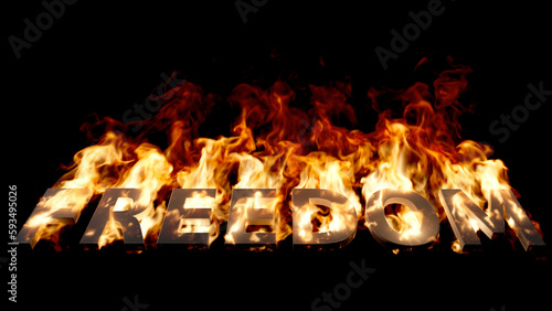 Low-angle view of Freedom Word on Fire with High Flames on Black