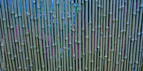 Natural bamboo wall pattern