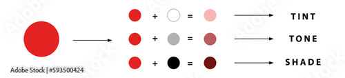 Color study of tint, tone, shade and pure color. Color palette