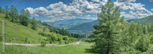 Panoramic view of the mountain valley from the pass, summer greenery of meadows and forests