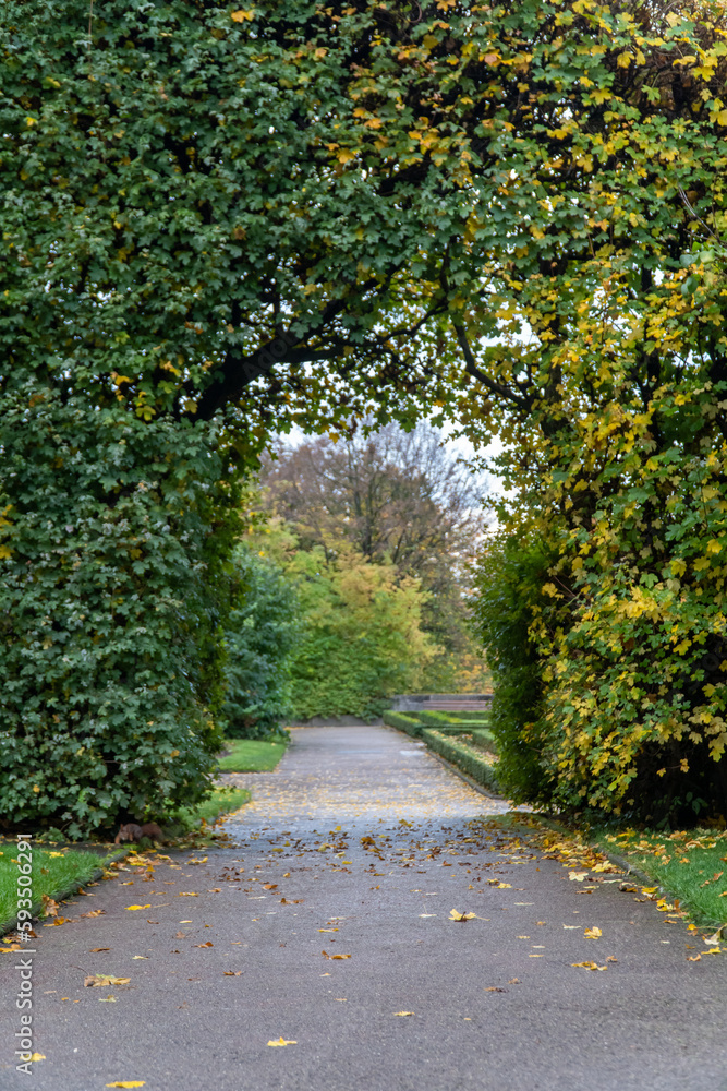 Naklejka premium Cutout buch tunnel in a garden