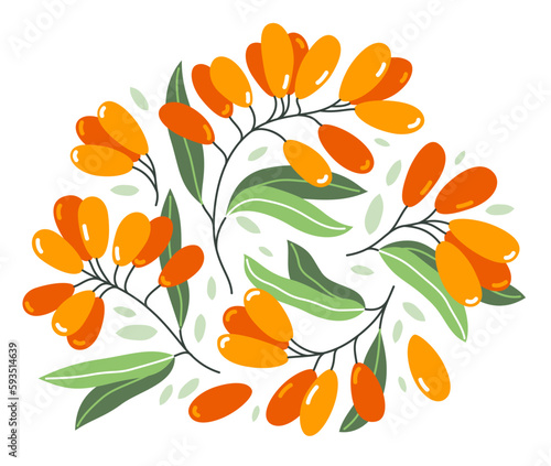Fresh delicious ripe sea buckthorn berries vector flat illustration isolated on white, natural diet food vegetation tasty eating, forest wild berries series.