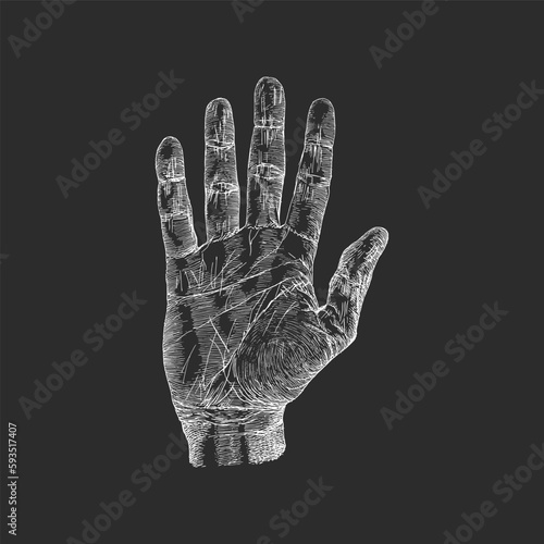 Hand palm, vintage drawn sketch in vector