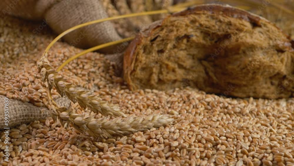 Rye bread with ripe wheat and ears of grain stem of cereal plant. Harvest time activity. Rural agriculture summer. Healthy natural bio food concept. Cultivate crop. Organic food culture Rye bread with ripe wheat and ears of grain stem of cereal plant. Harvest time activity. Rural agriculture summer. Healthy natural bio food concept. Cultivate crop. Organic food culture