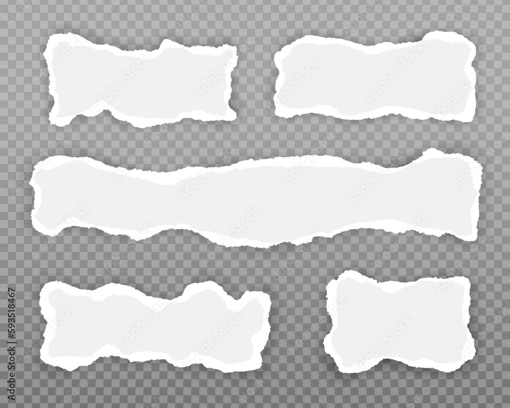 Paper torn strip stroke with cut stuck edges vector illustration ...