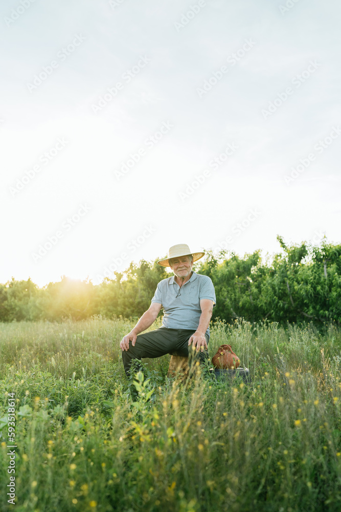 Smiling elderly male farmer sitting in meadow at sunset Smiling elderly male farmer sitting in meadow at sunset