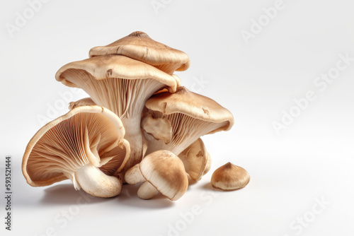 Mushroom Delight. Pleurotus mushrooms isolated on white background with space for text. Copy space. Food concept AI Generative