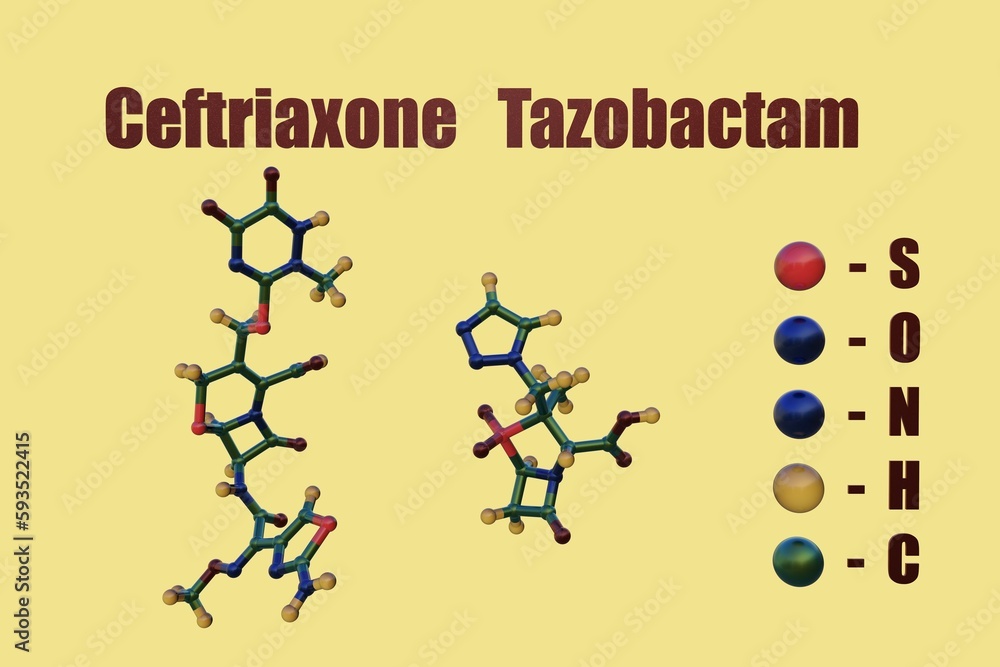 Molecular models of ceftriaxone and tazobactam, a combination of antibiotic medication . 3d illustration Molecular models of ceftriaxone and tazobactam, a combination of antibiotic medication . 3d illustration