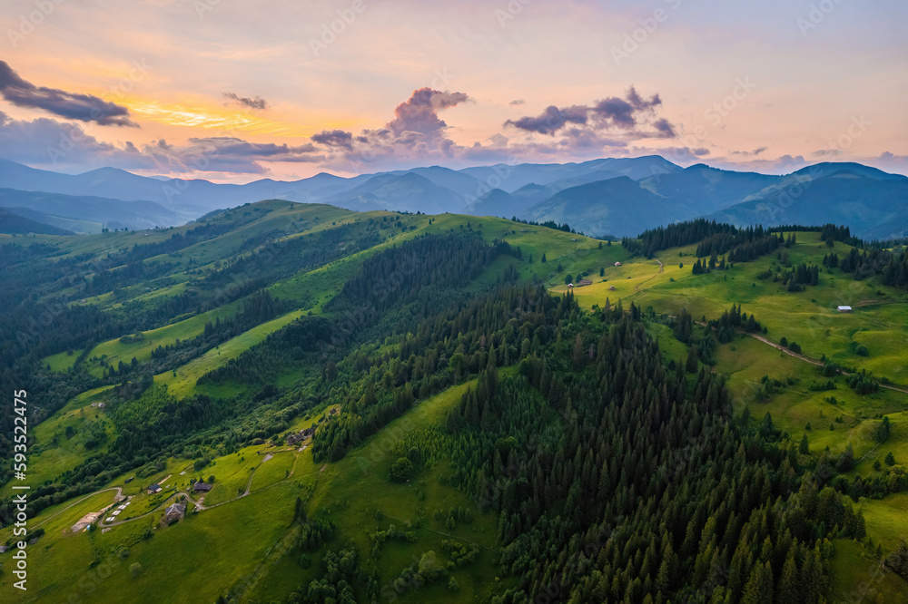Naklejka premium Mountains in clouds at sunrise in summer. Aerial view of mountain peak with green trees in fog. Beautiful landscape with high rocks, forest, sky.