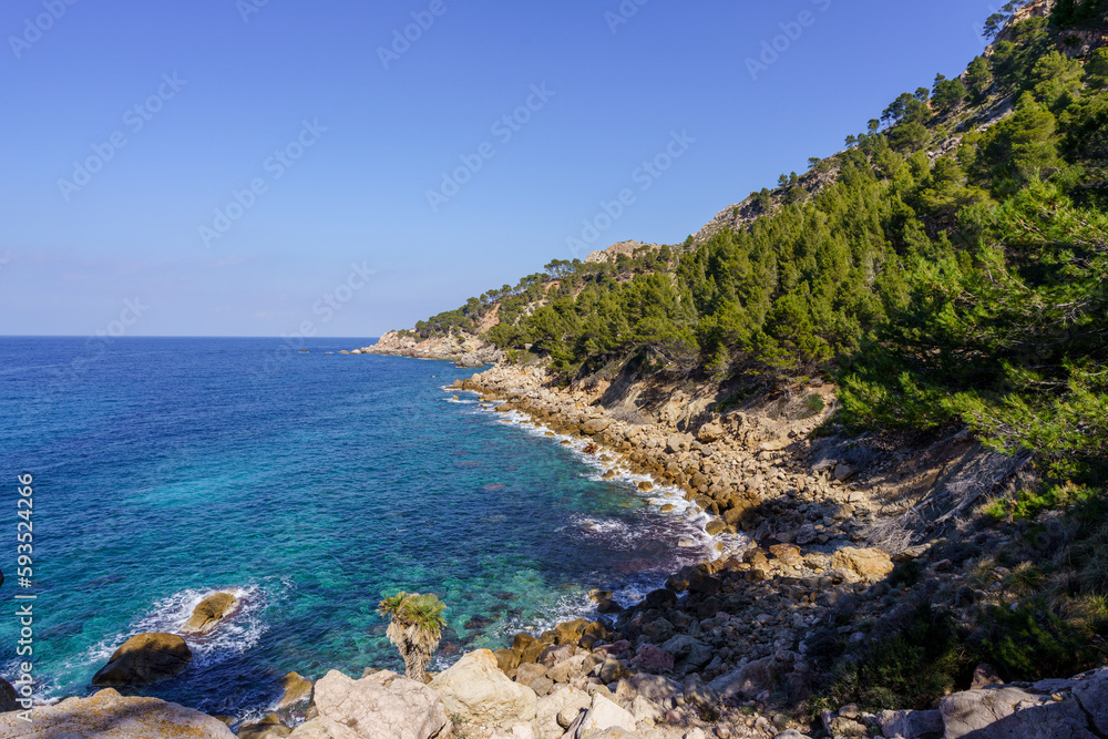 Raco de ses Ortigues cove, Estellencs coast, Majorca, Balearic Islands, Spain