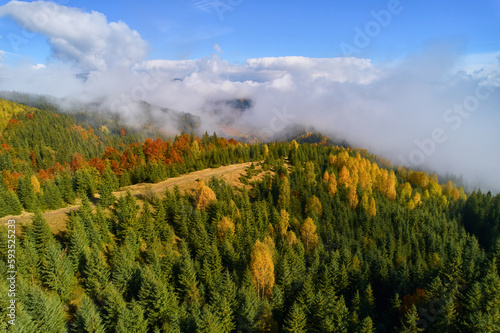 Fog spreads over the mountains at dawn. The sun rises on the horizon. Carpathians in the morning. Aerial drone view. © Ryzhkov Oleksandr