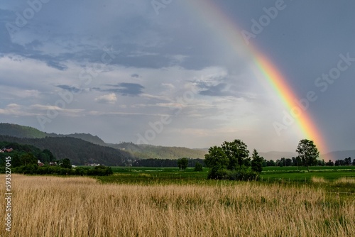 Beautiful view of a magnificent rainbow in the background of a green field and ears of wheat