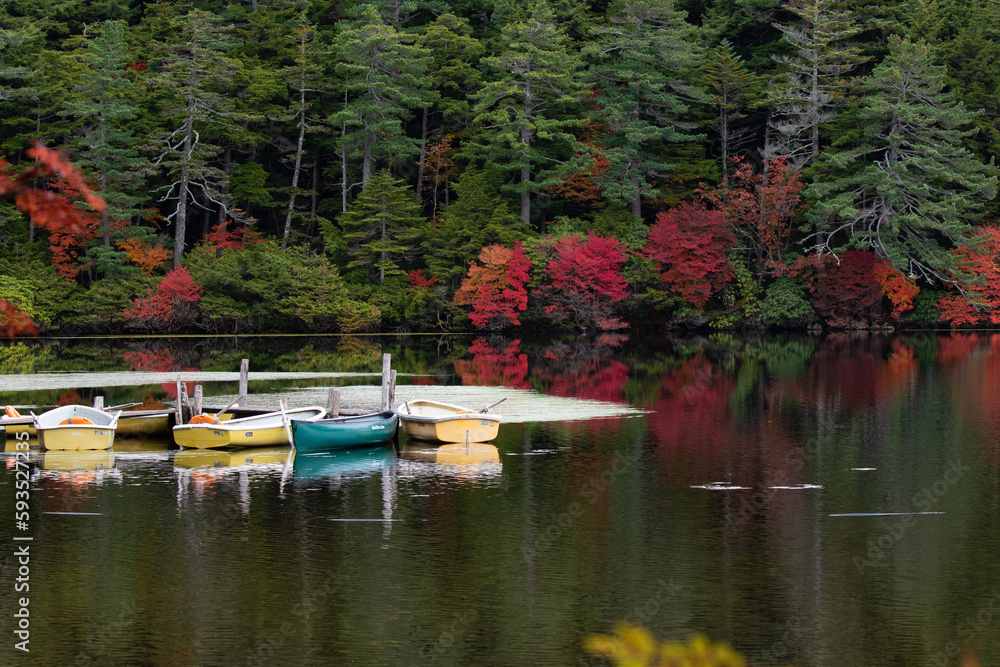 湖畔の紅葉・静寂の白駒池