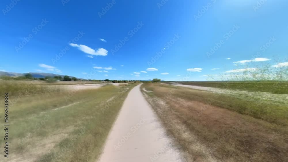 Road surrounded by growing trees