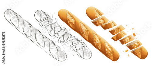 Set of vector french sliced baguette. Slices and crumbs. White long bread loaf. Rye whole grain baked bread. Logo, icon. sketch realistic line vintage illustration. Top view