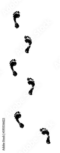 foot step trail vector silhouette  