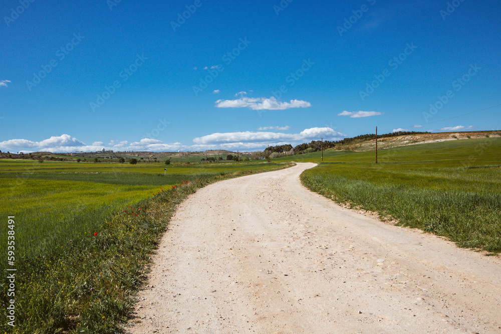Beautiful picturesque winding country road, gravel dirt path goes into a distance in a spring meadow, field. Nice sunny weather. Natural scenery. Spanish landscape with green meadows, blue cloudy sky.