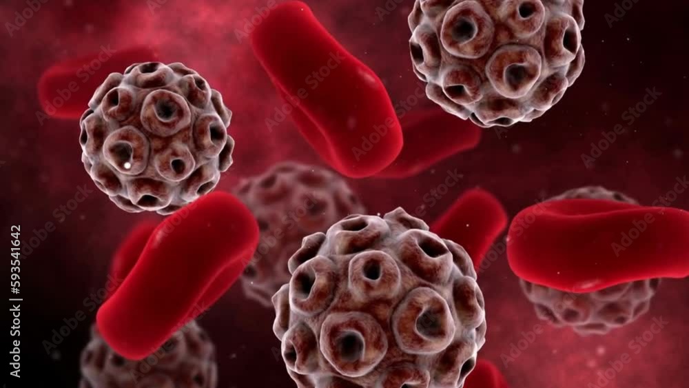 Visualization Of HPV Virus With Red Blood Cells blood flow animation