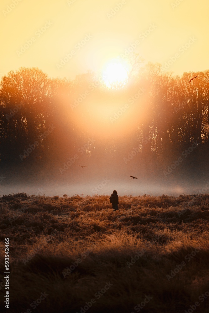 Vertical shot of a silhouette of a person walking on a misty field at sunset